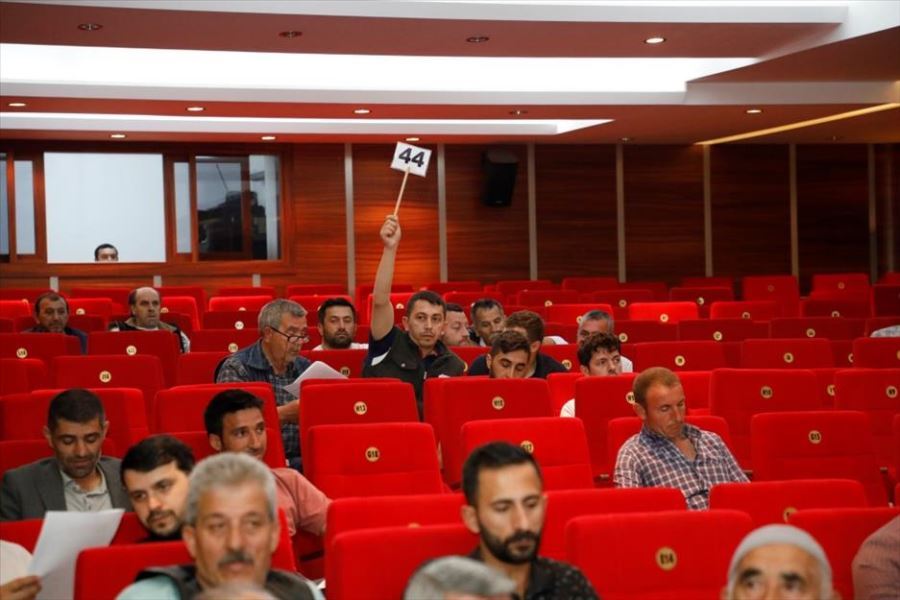 Hayvan Pazarının Kotra Kiralamaları Yapıldı