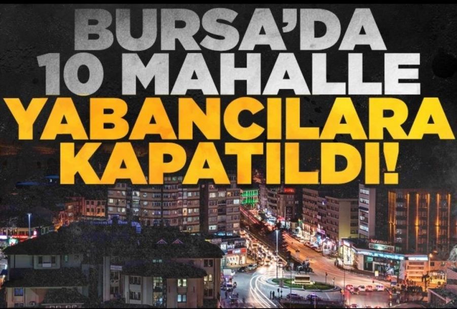 Bursa