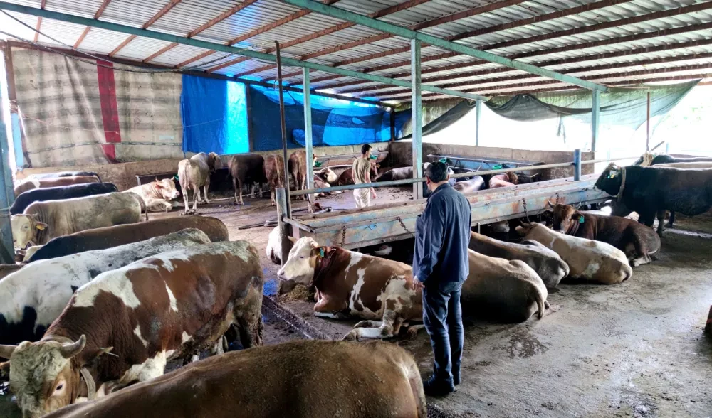 Kurban Kesim Kursu Kayıtları Başladı